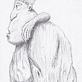 Caveman