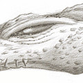 Creature Eyes -2