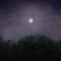 Distant World